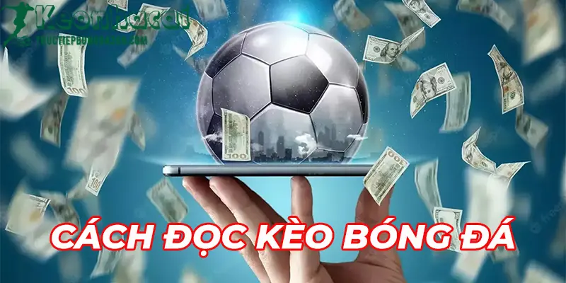 Hướng dẫn sử dụng kèo bóng đá để dự đoán kết quả trận đấu 3 Hướng dẫn sử dụng kèo bóng đá để dự đoán kết quả trận đấu