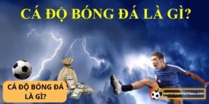 Cá độ bóng đá là gì? 32 CÁ độ bóng đá là gì